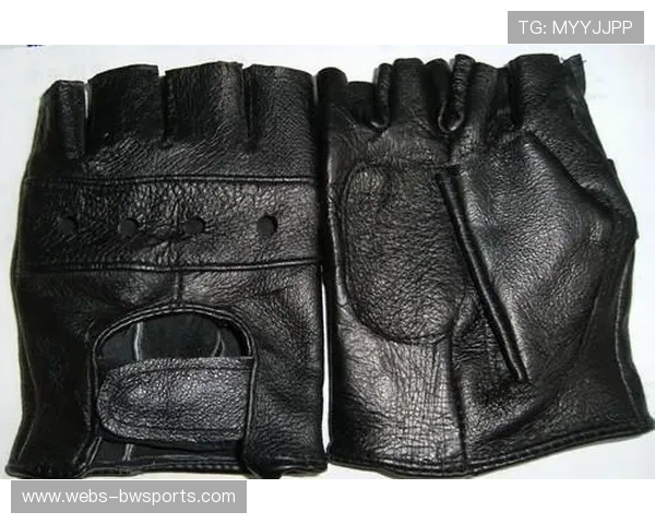 拳击器材销售增长,拳击手套与护具市场需求扩大 拳击器材销售增长,拳击手套与护具市场需求扩大